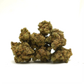 Amnesia Hidro