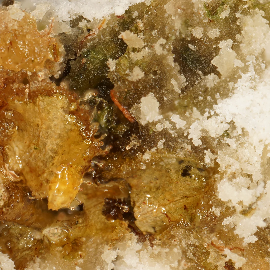 Ice Rock