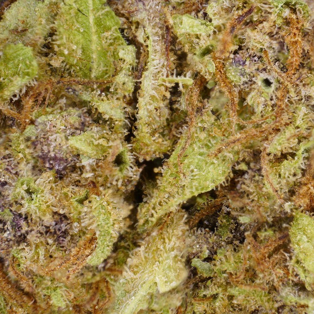 black diamond zoom