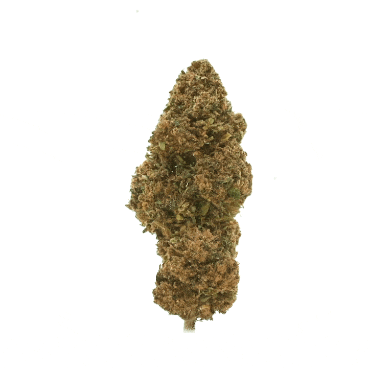 OG Kush (Invernadero)