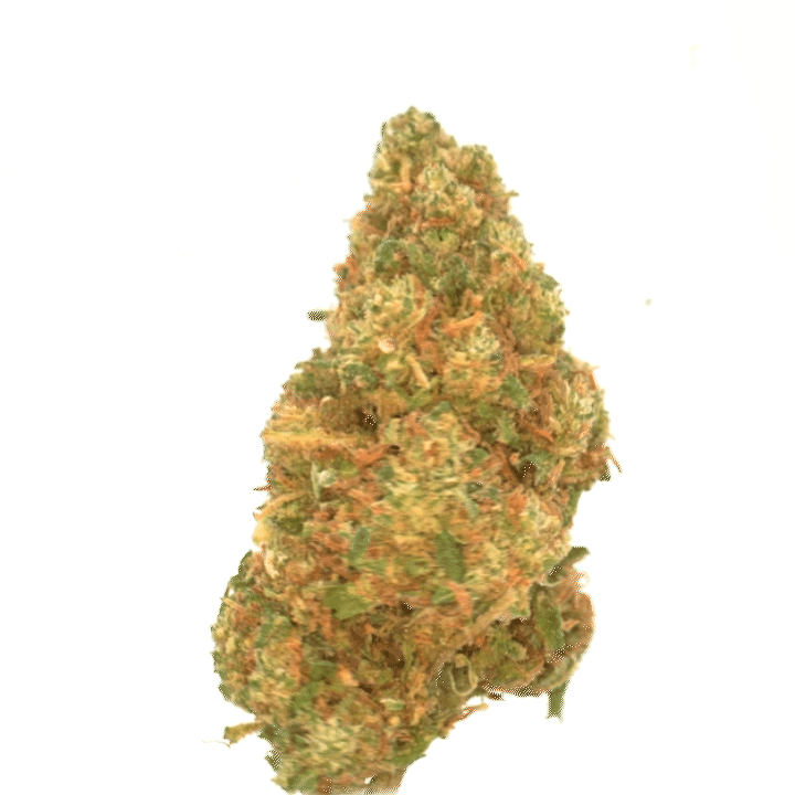 Orange Bud (Invernadero)