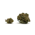 Orange Bud cogollos pequeños