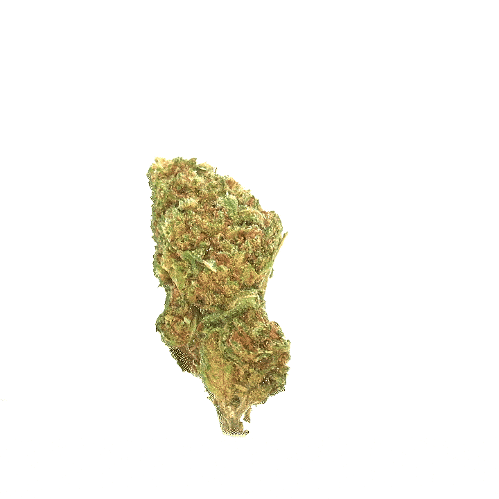 Lemon Haze (Invernadero)